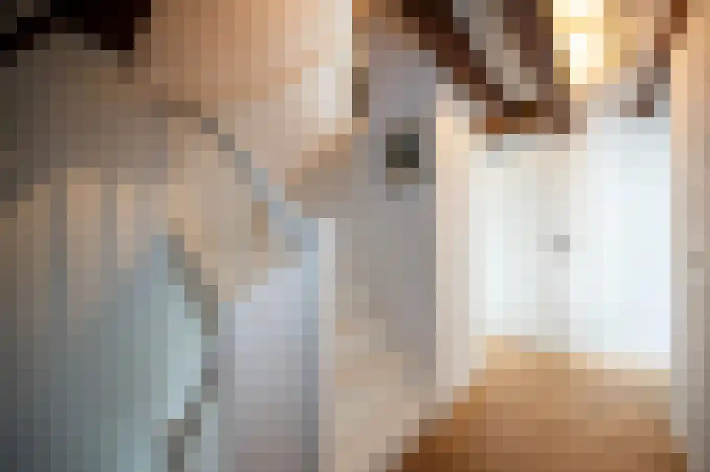 Nieuwstraat 2 Oudewater thumbnail 43