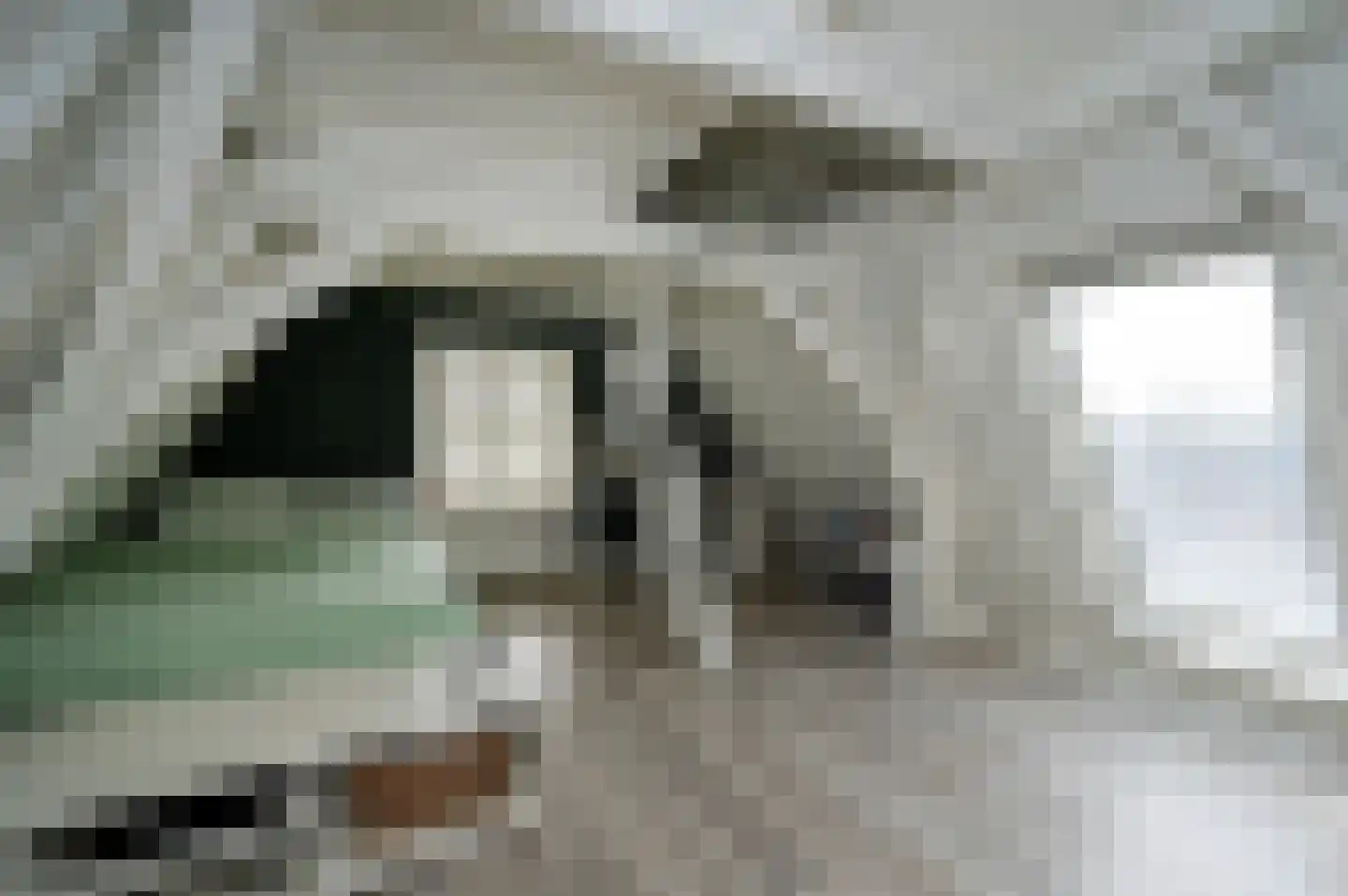 Nieuwstraat 2 Oudewater thumbnail 44