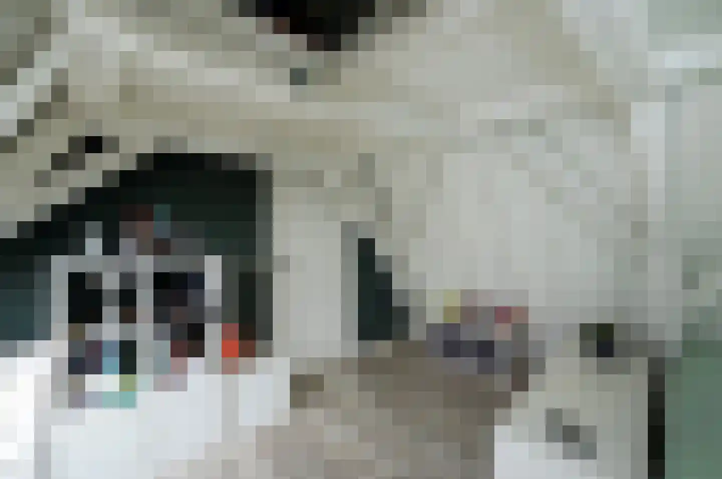 Nieuwstraat 2 Oudewater thumbnail 47