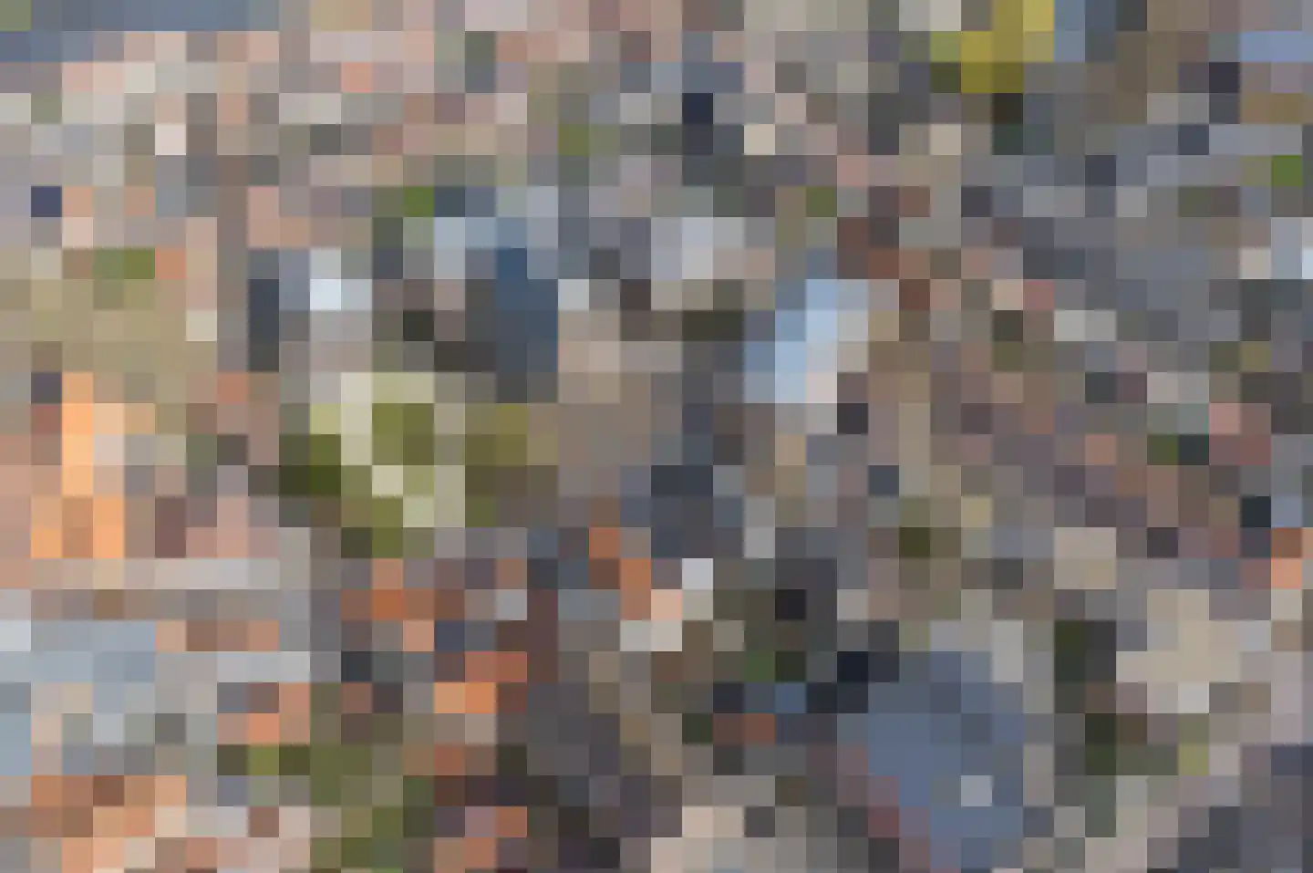 Nieuwstraat 2 Oudewater thumbnail 48