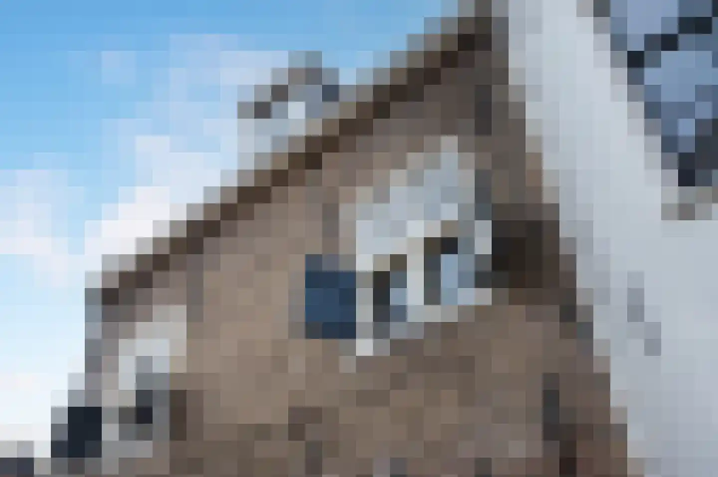 Nieuwstraat 2 Oudewater thumbnail 51