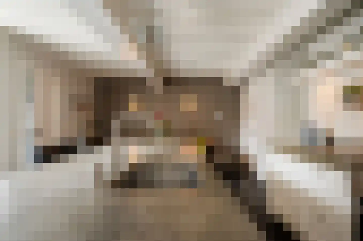 Nieuwstraat 2 Oudewater thumbnail 7