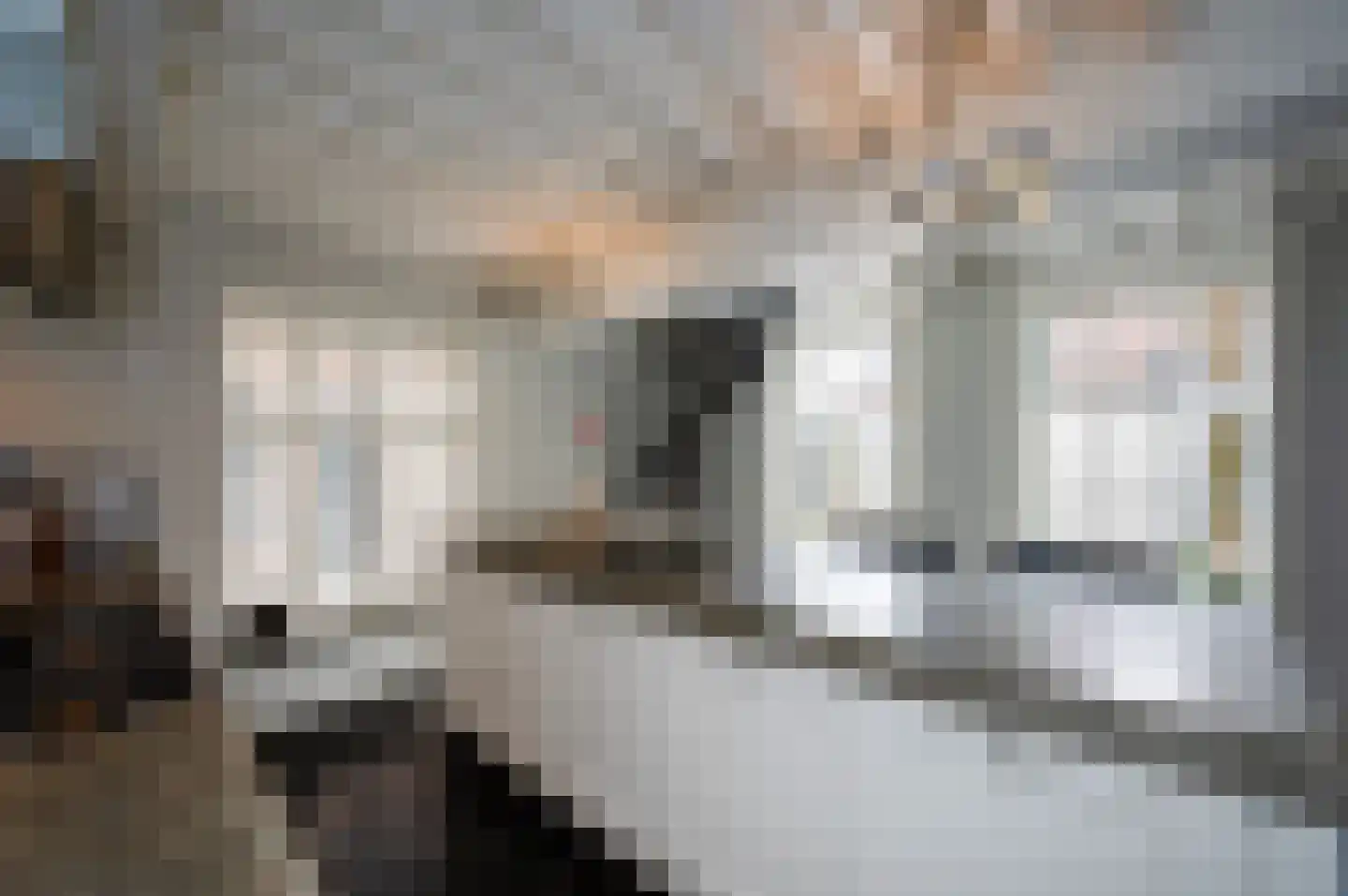 Nieuwstraat 2 Oudewater thumbnail 8