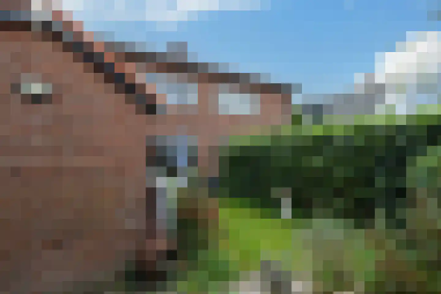 Nieuwstraat 2 Soest thumbnail 19