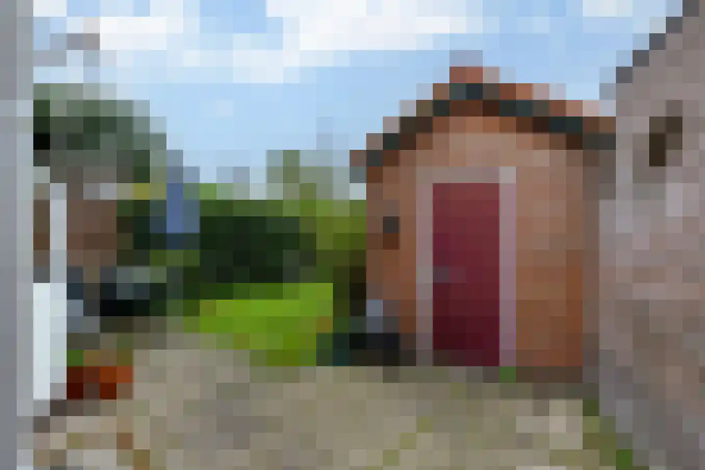 Nieuwstraat 2 Soest thumbnail 20