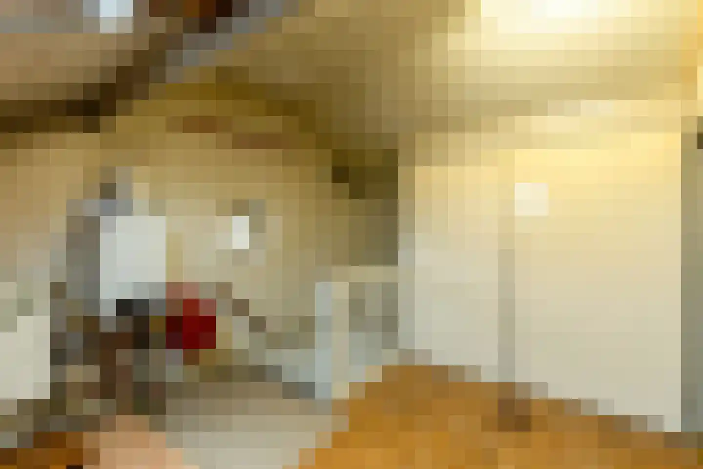 Nieuwstraat 2 Soest thumbnail 34