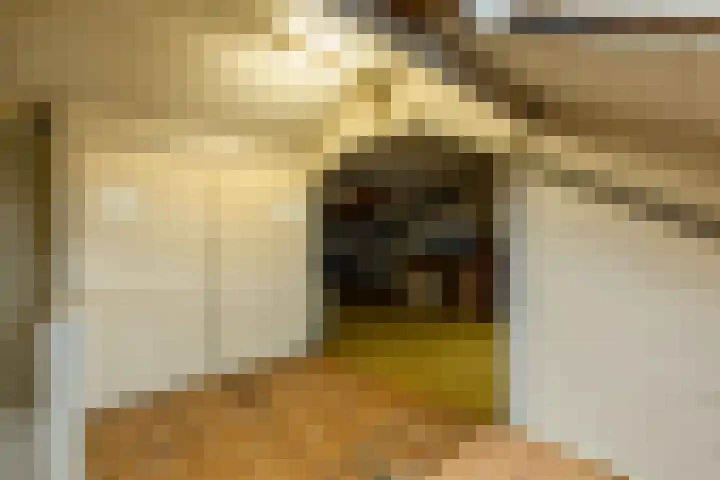 Nieuwstraat 2 Soest thumbnail 35