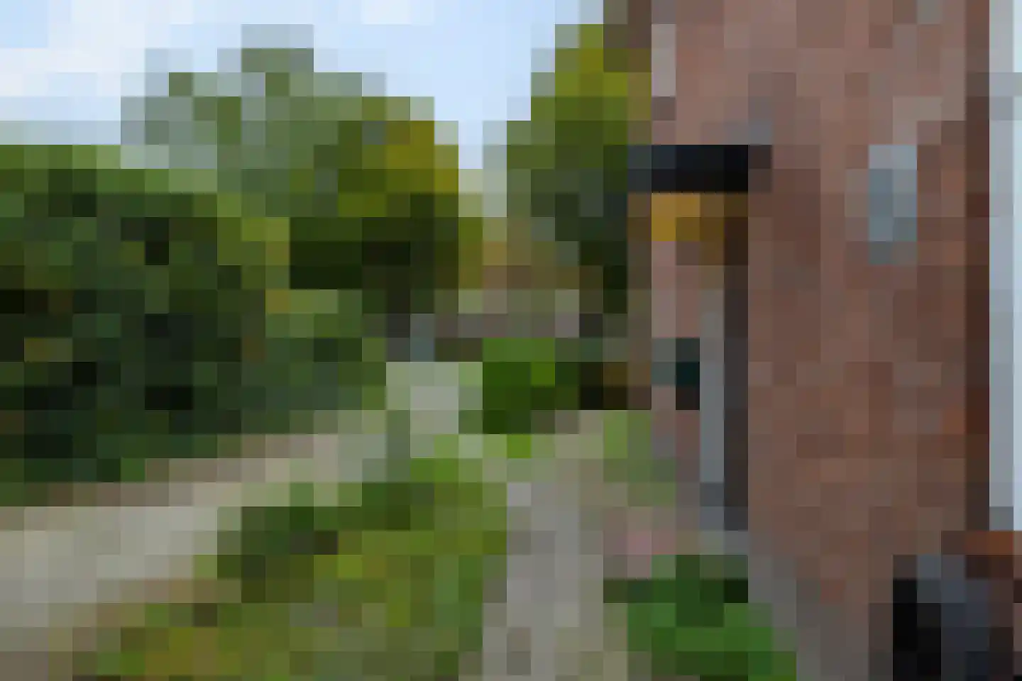 Nieuwstraat 2 Soest thumbnail 37