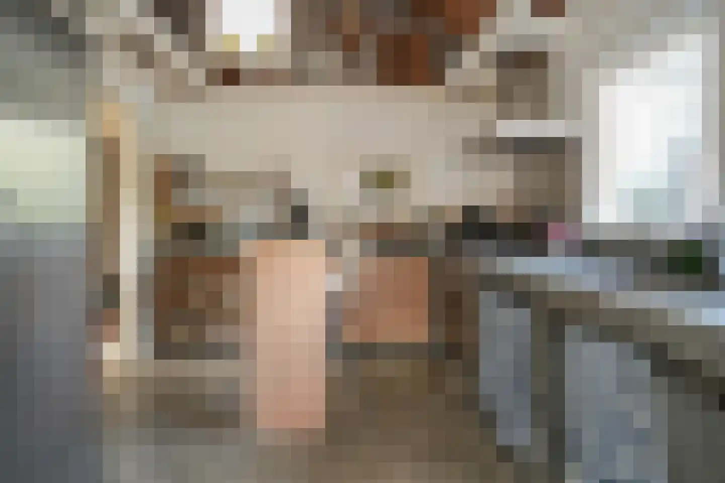 Nieuwstraat 2 Zuilichem thumbnail 12