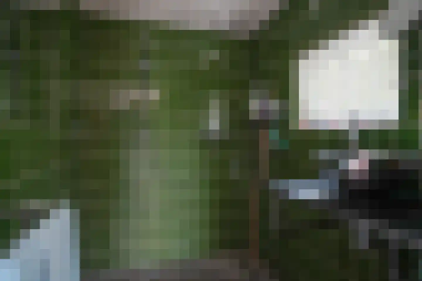 Nieuwstraat 2 Zuilichem thumbnail 17