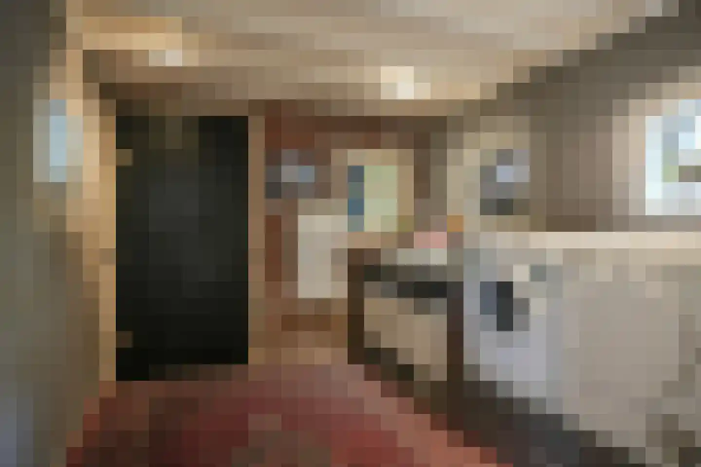 Nieuwstraat 2 Zuilichem thumbnail 18