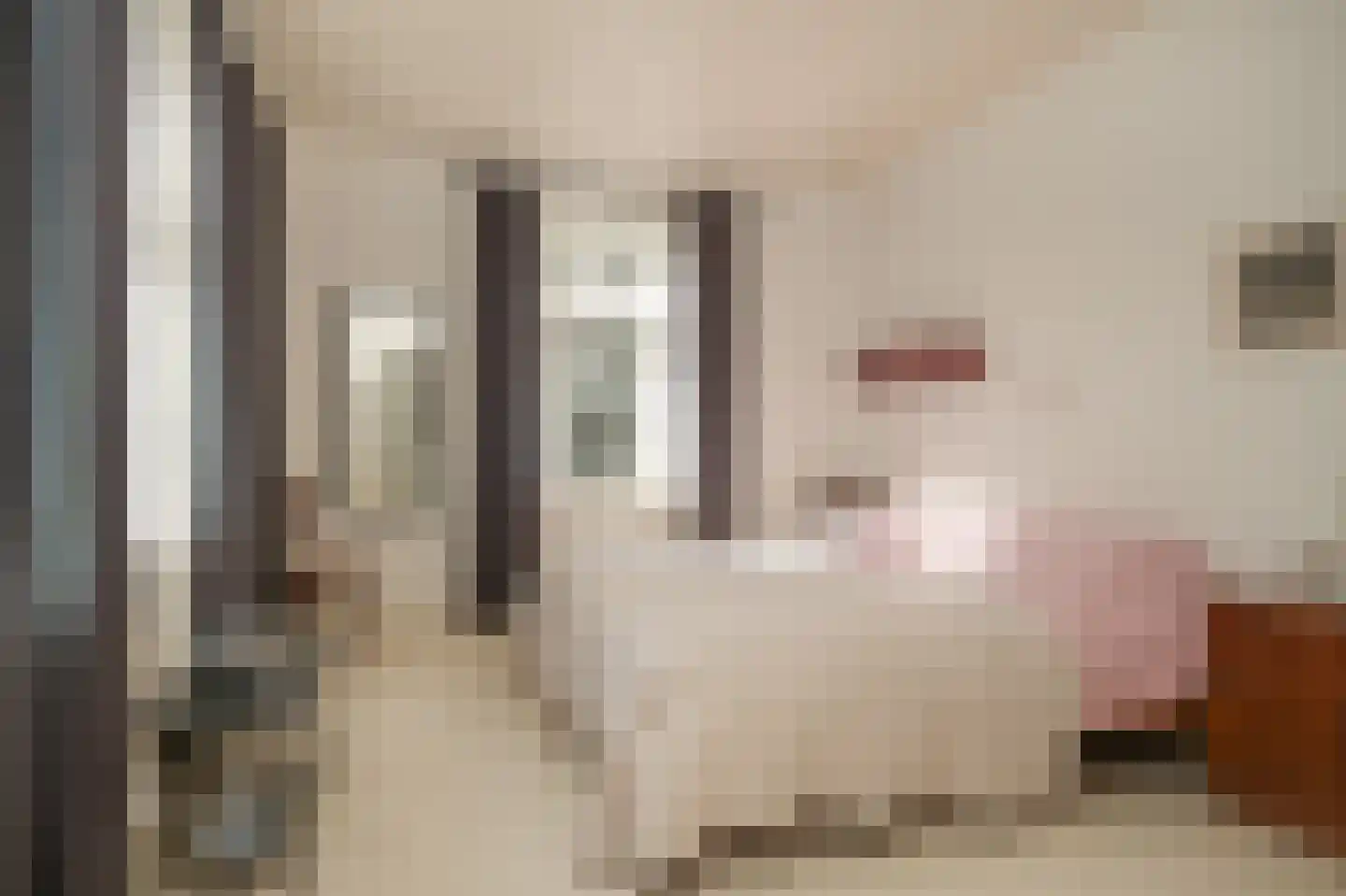 Nieuwstraat 2 Zuilichem thumbnail 21