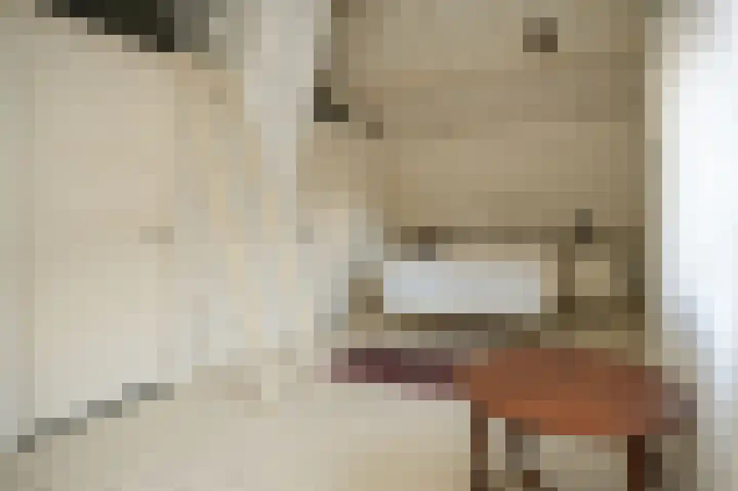 Nieuwstraat 2 Zuilichem thumbnail 25