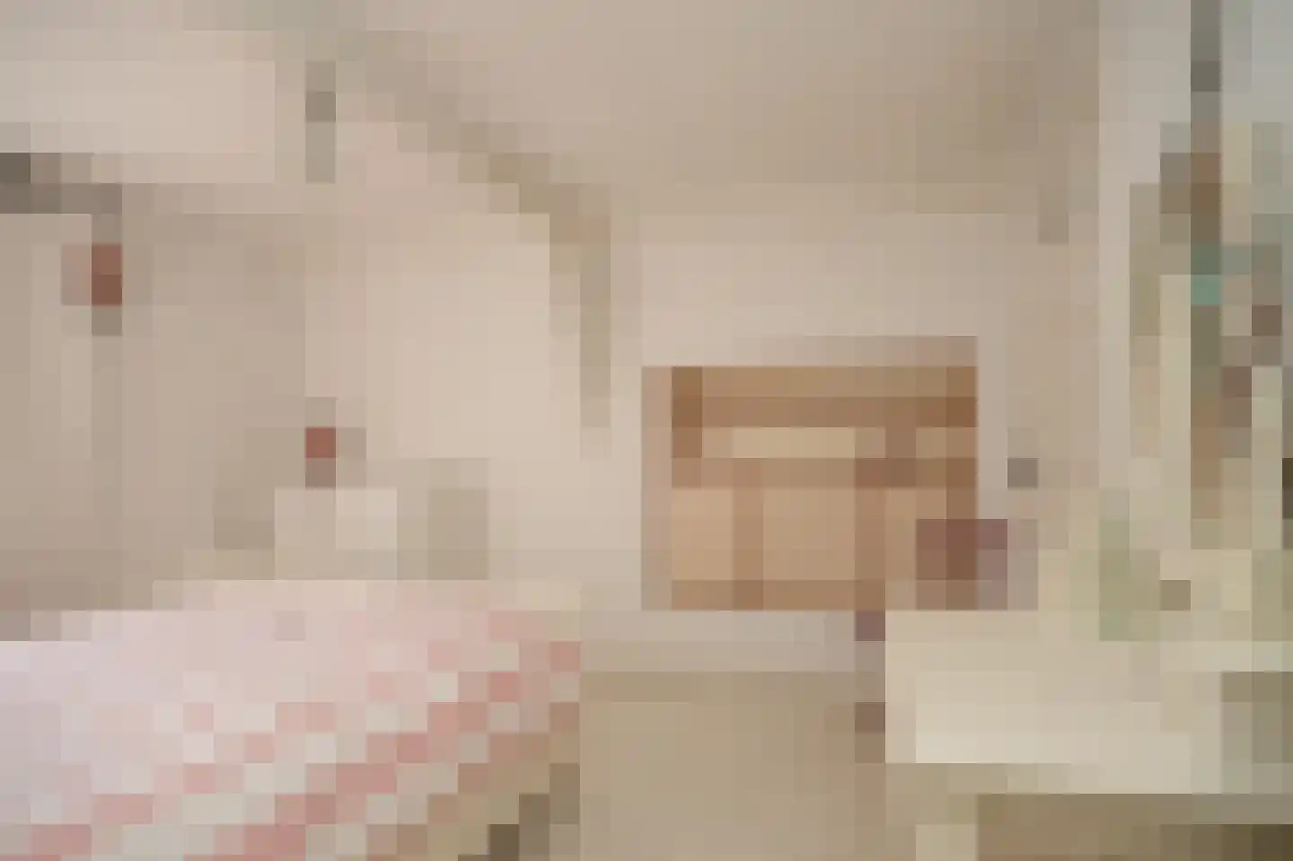 Nieuwstraat 2 Zuilichem thumbnail 27
