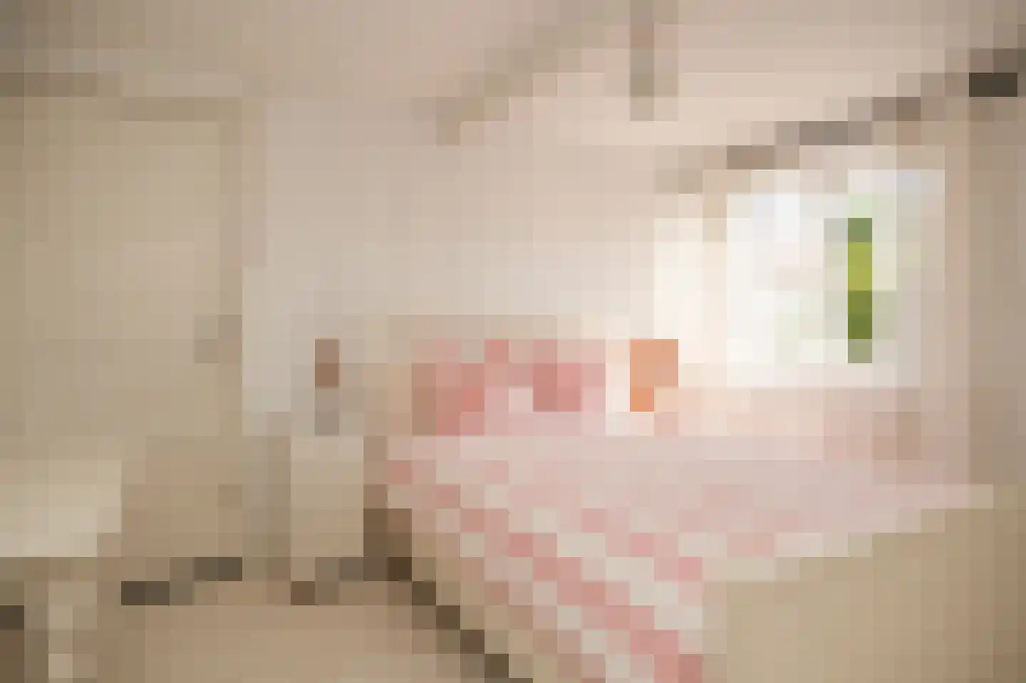 Nieuwstraat 2 Zuilichem thumbnail 28