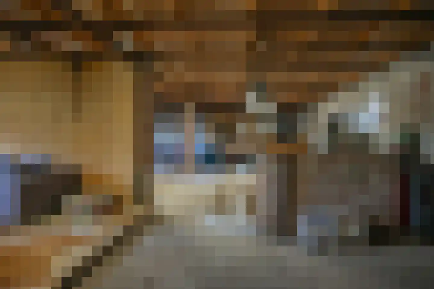 Nieuwstraat 2 Zuilichem thumbnail 32