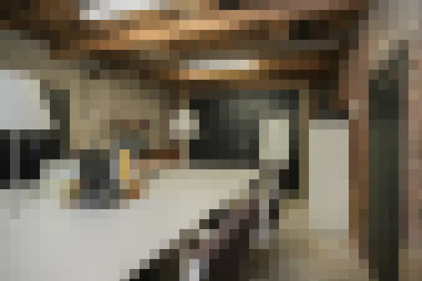 Nieuwstraat 2 Zuilichem thumbnail 34