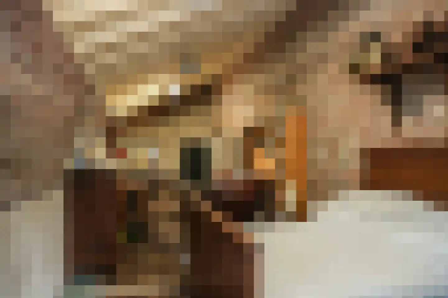Nieuwstraat 2 Zuilichem thumbnail 35