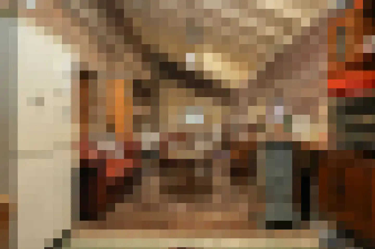 Nieuwstraat 2 Zuilichem thumbnail 36