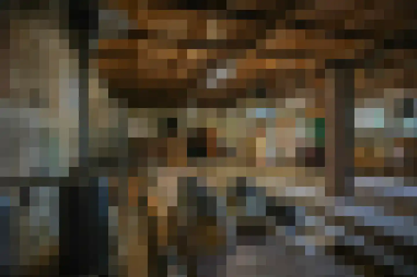 Nieuwstraat 2 Zuilichem thumbnail 38