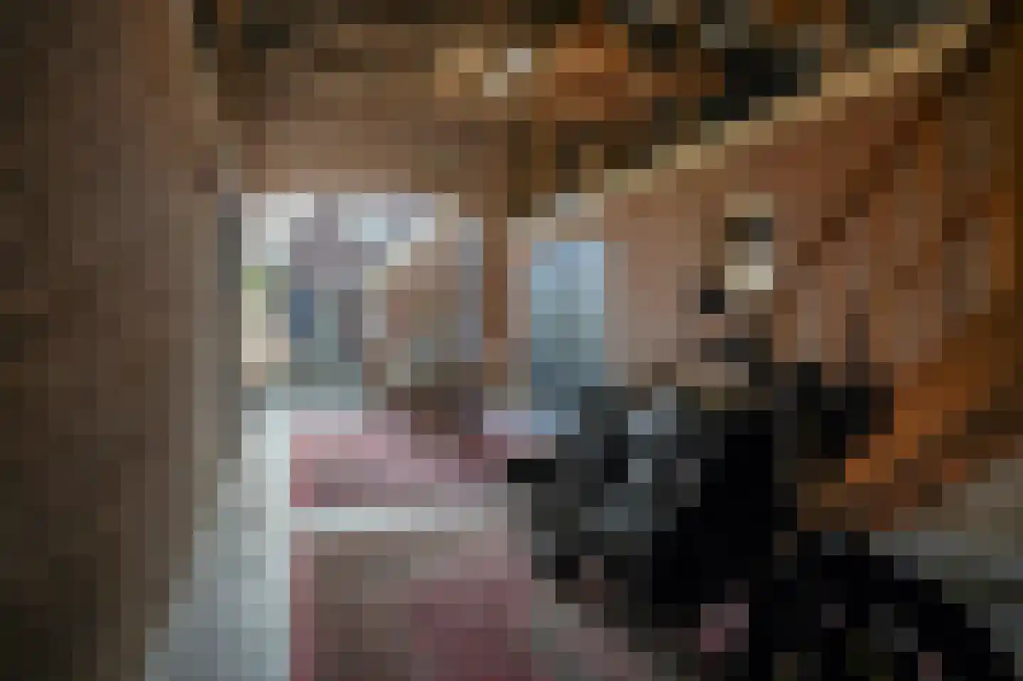 Nieuwstraat 2 Zuilichem thumbnail 39