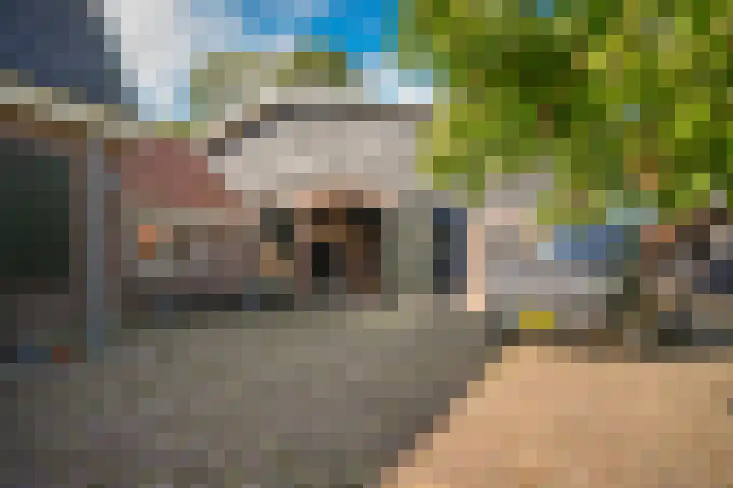 Nieuwstraat 2 Zuilichem thumbnail 4
