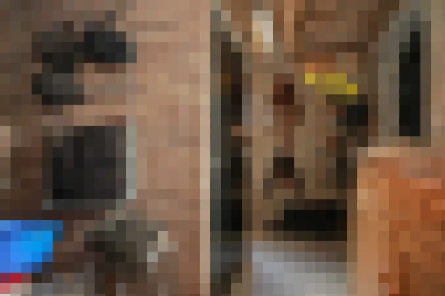Nieuwstraat 2 Zuilichem thumbnail 42