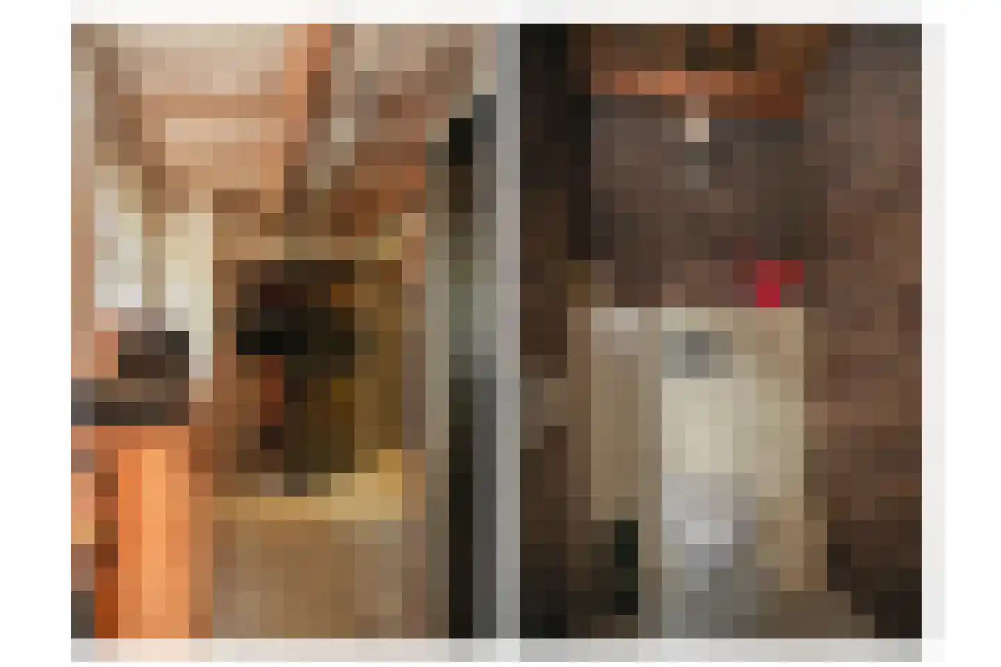 Nieuwstraat 2 Zuilichem thumbnail 43