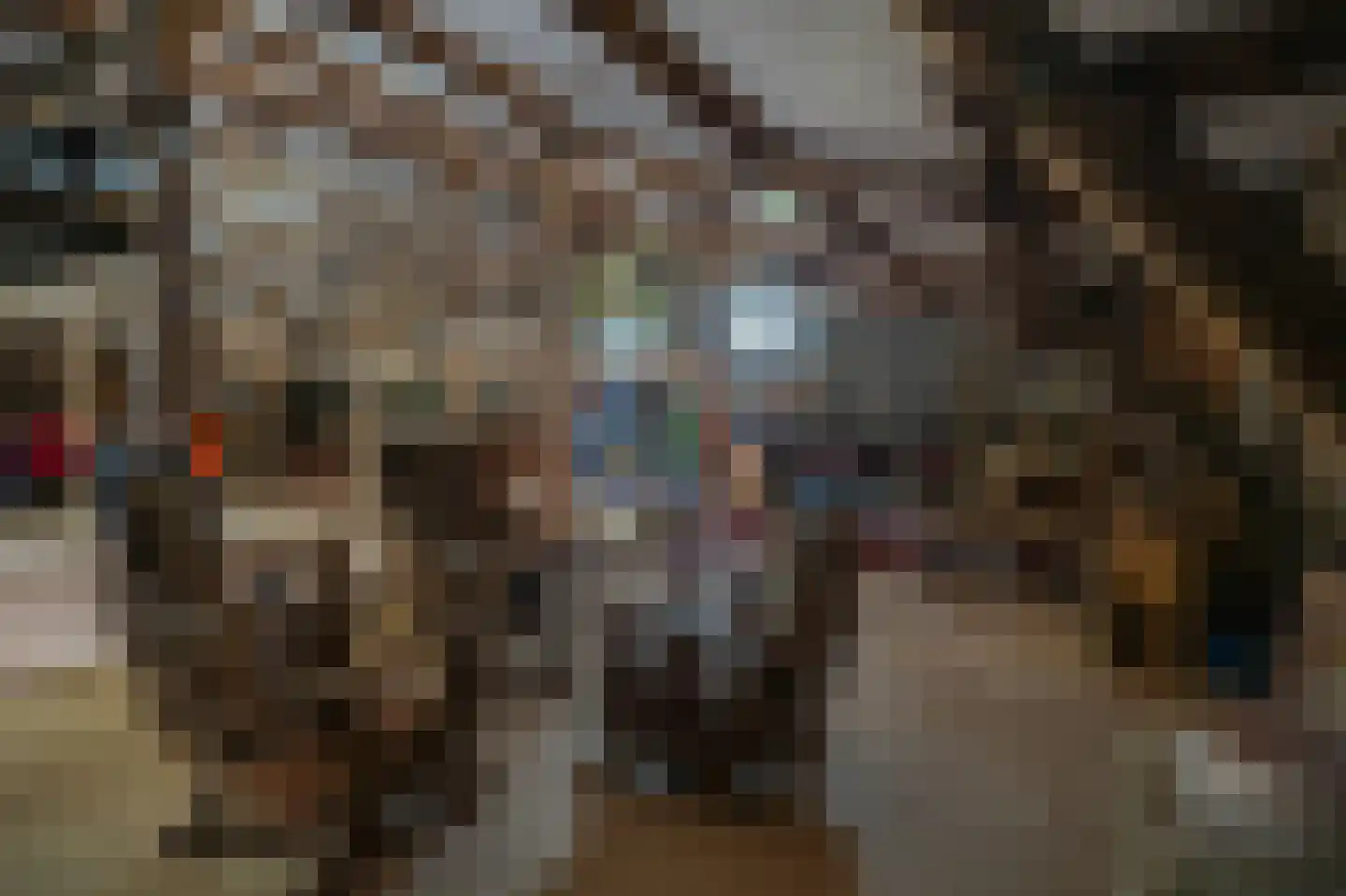 Nieuwstraat 2 Zuilichem thumbnail 46