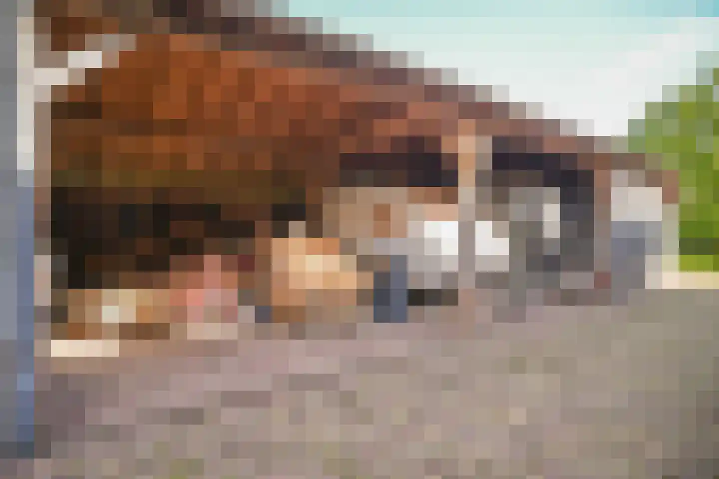 Nieuwstraat 2 Zuilichem thumbnail 51