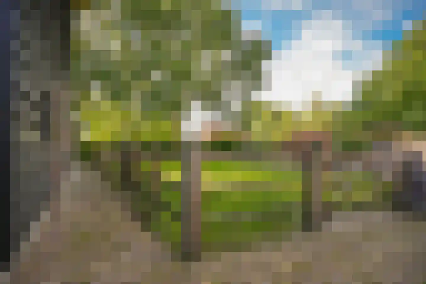 Nieuwstraat 2 Zuilichem thumbnail 53
