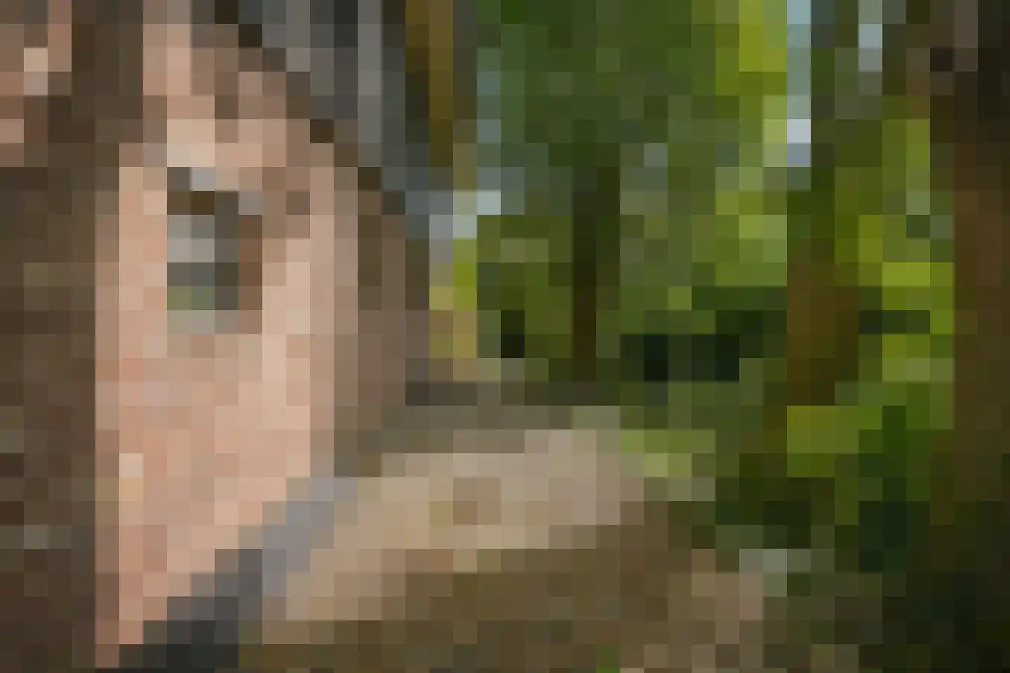 Nieuwstraat 2 Zuilichem thumbnail 54