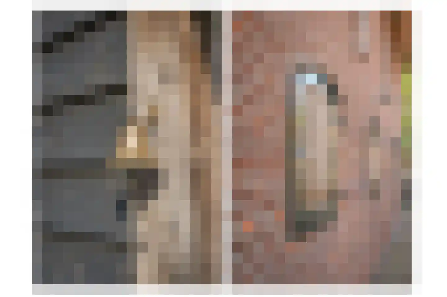 Nieuwstraat 2 Zuilichem thumbnail 55