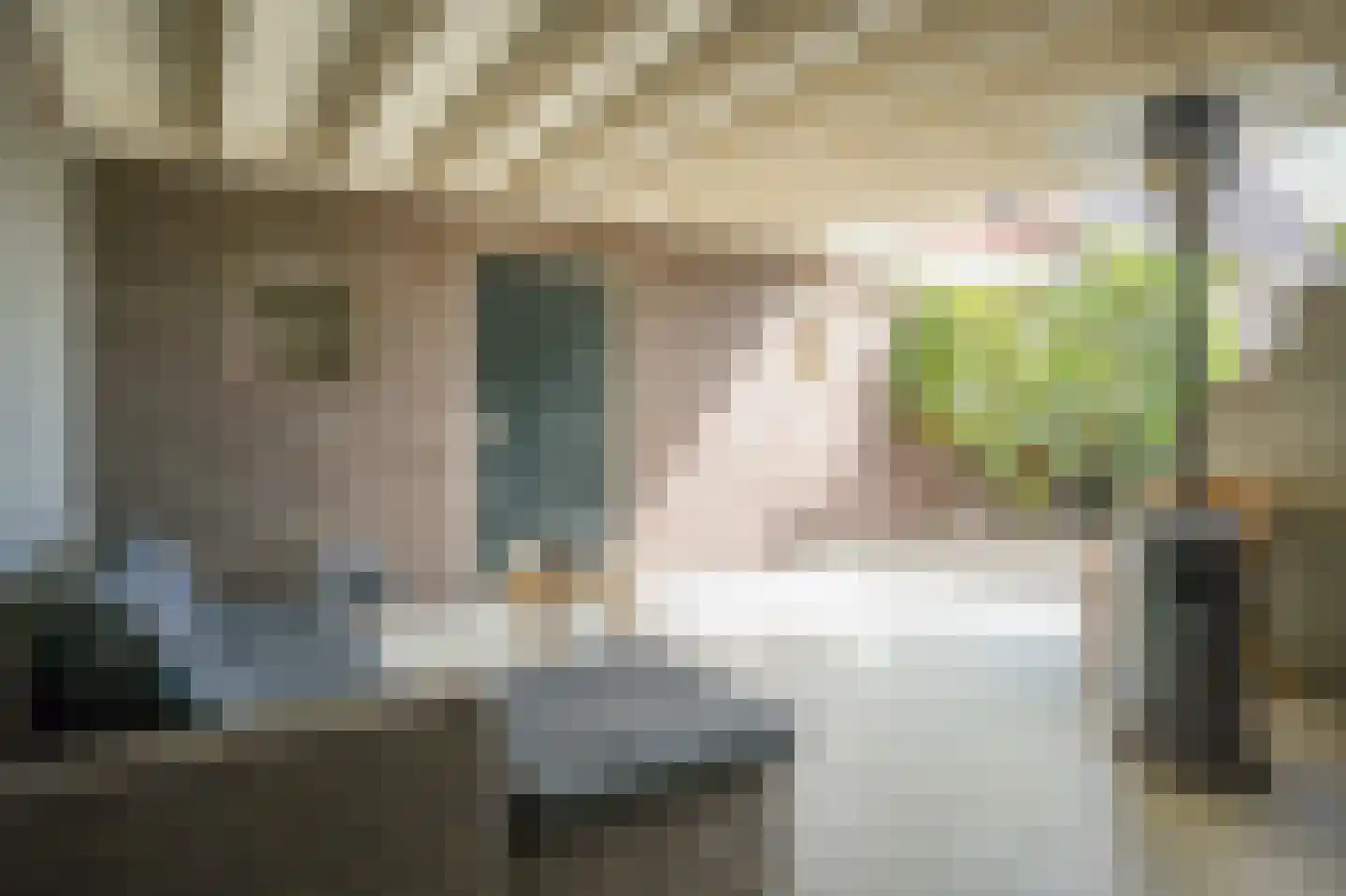 Nieuwstraat 2 Zuilichem thumbnail 61