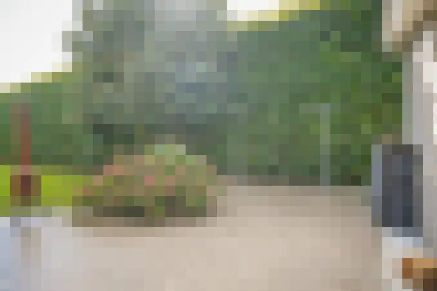 Nieuwstraat 2 Zuilichem thumbnail 62