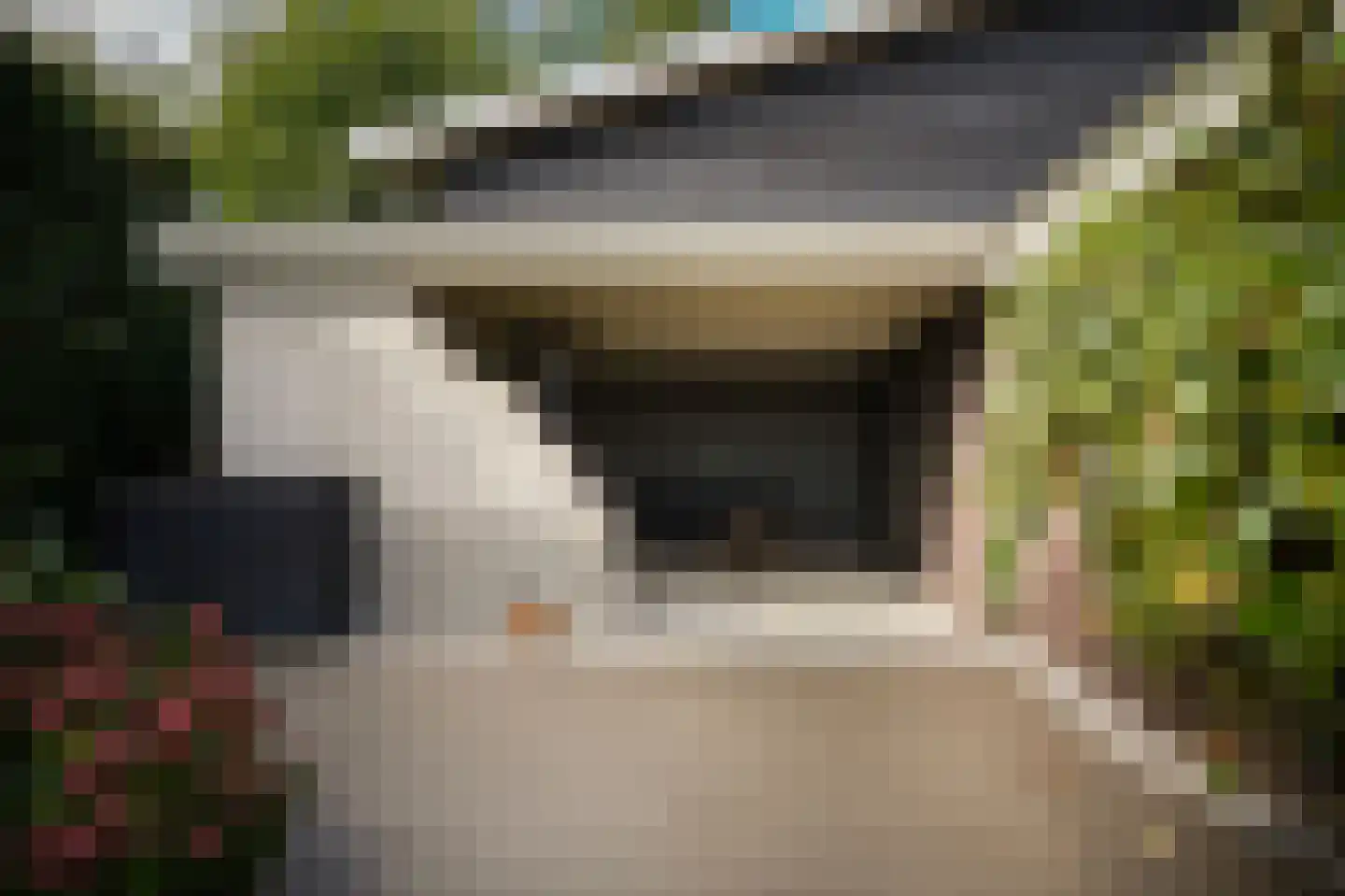 Nieuwstraat 2 Zuilichem thumbnail 63