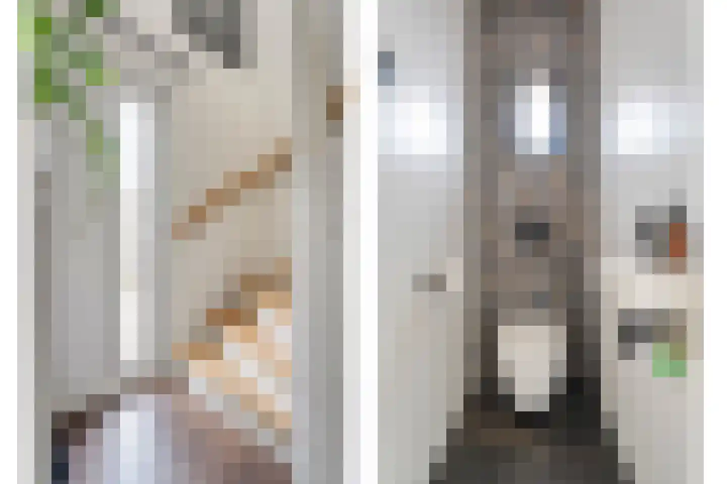 Nieuwstraat 20 Alteveer thumbnail 10