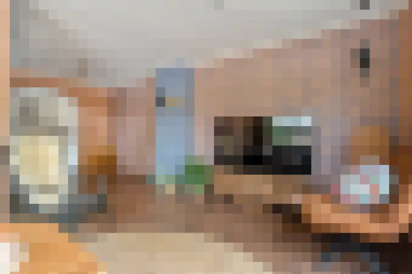Nieuwstraat 20 Alteveer thumbnail 14