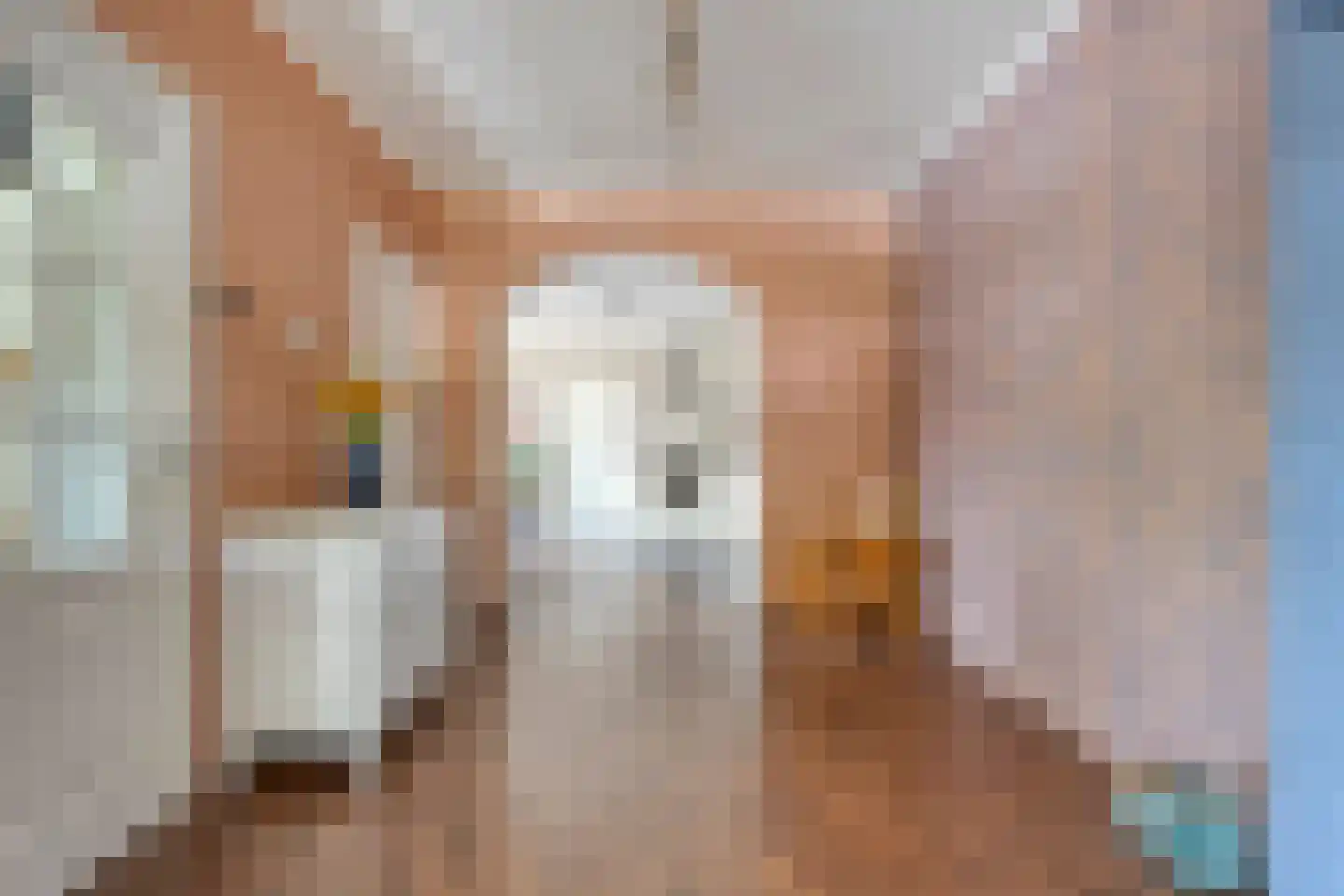 Nieuwstraat 20 Alteveer thumbnail 15