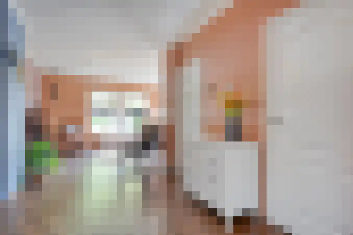 Nieuwstraat 20 Alteveer thumbnail 16