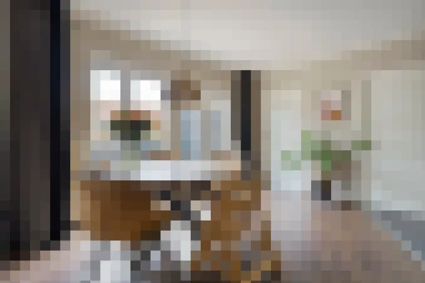 Nieuwstraat 20 Alteveer thumbnail 18