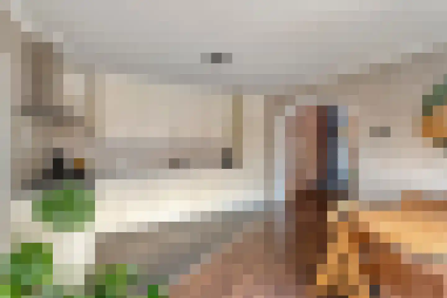 Nieuwstraat 20 Alteveer thumbnail 19