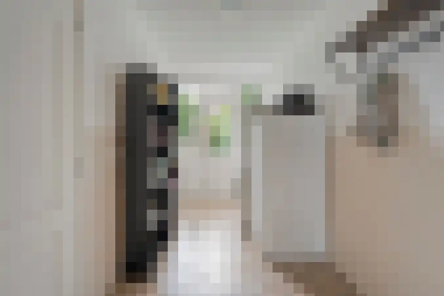 Nieuwstraat 20 Alteveer thumbnail 24