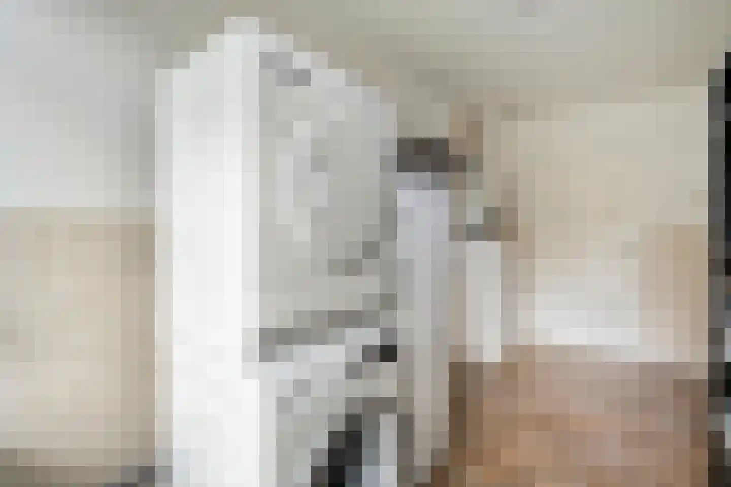 Nieuwstraat 20 Alteveer thumbnail 25