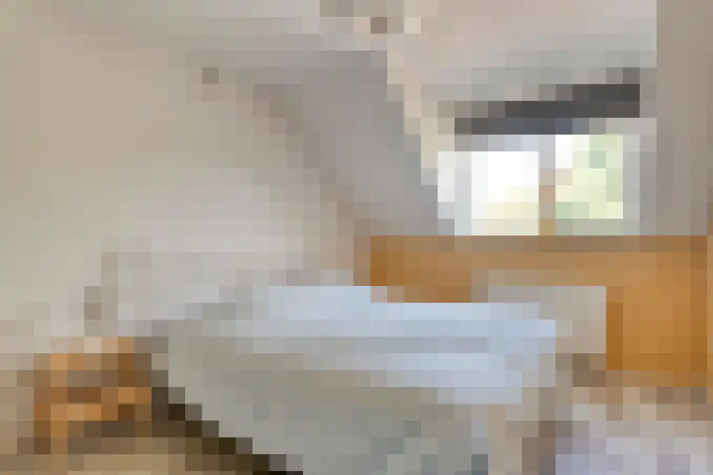 Nieuwstraat 20 Alteveer thumbnail 29