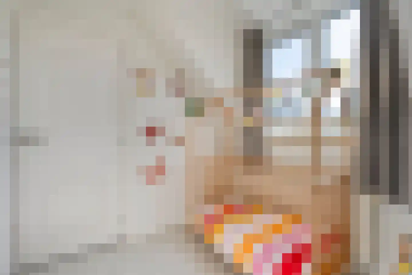 Nieuwstraat 20 Alteveer thumbnail 32
