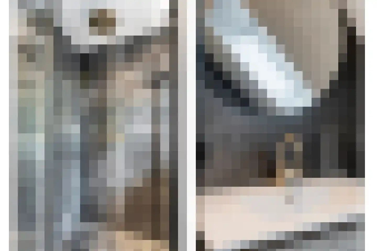 Nieuwstraat 20 Alteveer thumbnail 34