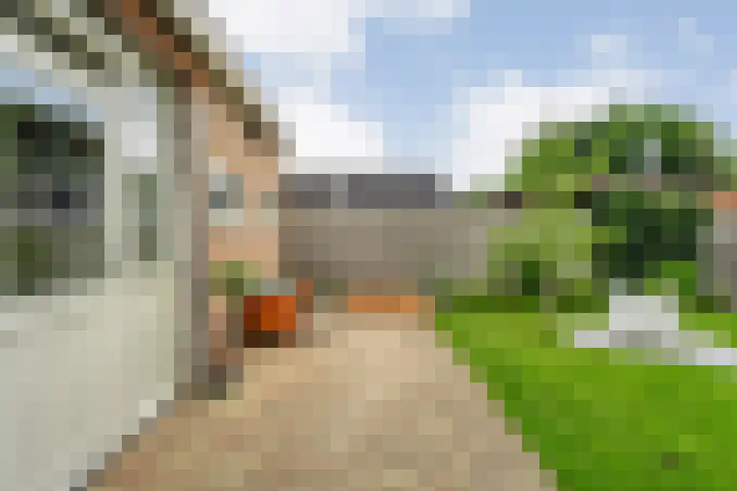 Nieuwstraat 20 Alteveer thumbnail 42