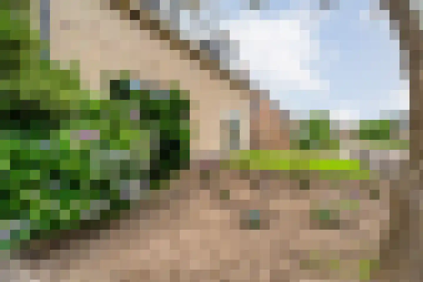 Nieuwstraat 20 Alteveer thumbnail 44