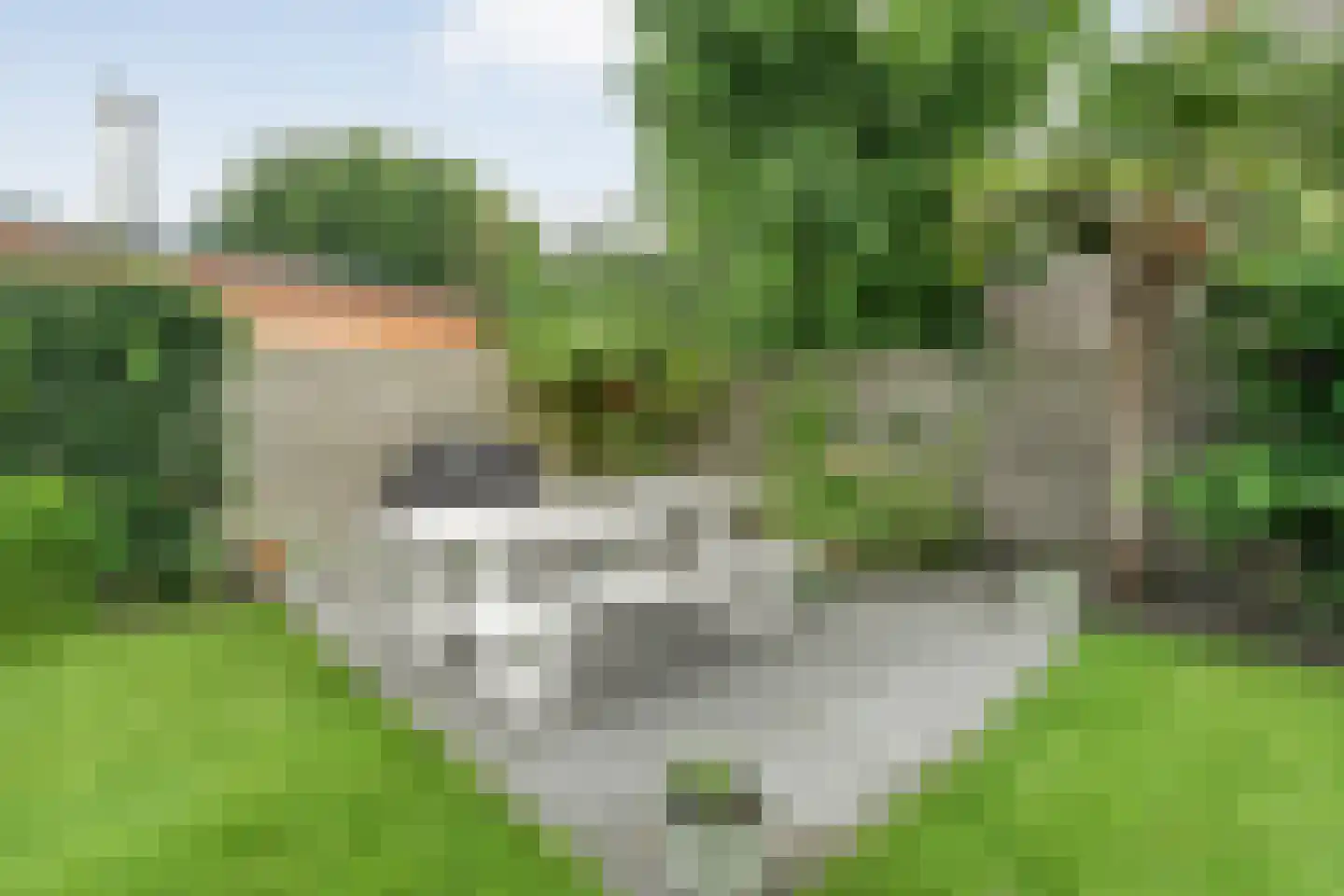Nieuwstraat 20 Alteveer thumbnail 47